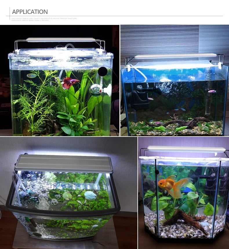 Aquarium plant lights