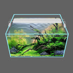 Aquarium plant lights
