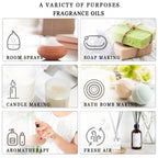 Aromatherapy Essential Oil