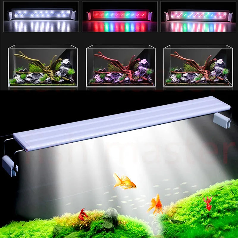 Aquarium plant lights