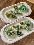 Arizona Dream Cactus Wooden Bowl Candle - Scented Garden Candle in Natural Wood