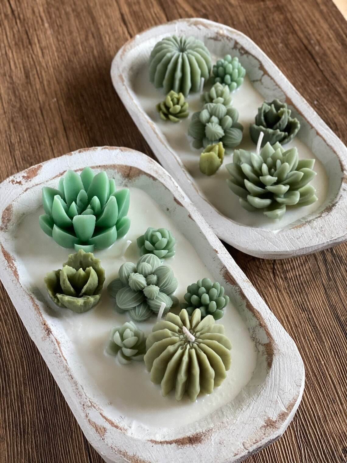 Arizona Dream Cactus Wooden Bowl Candle - Scented Garden Candle in Natural Wood